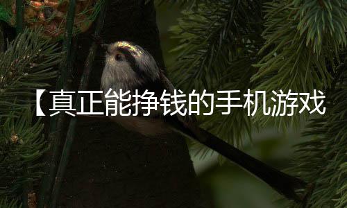 【真正能挣钱的手机游戏 无广告】跑步热菜什么梗的视频