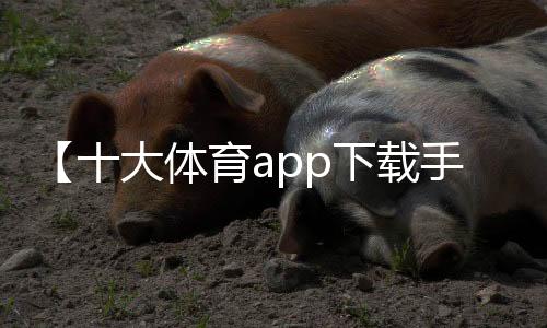 【十大体育app下载手机版】八大关枫叶在哪条路