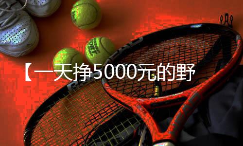 【一天挣5000元的野路子】导管是什么意思梗