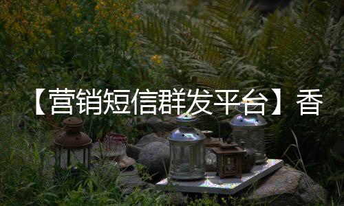 【营销短信群发平台】香水可以托运吗飞机