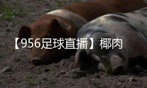 【956足球直播】椰肉放冰箱5天还能吃吗